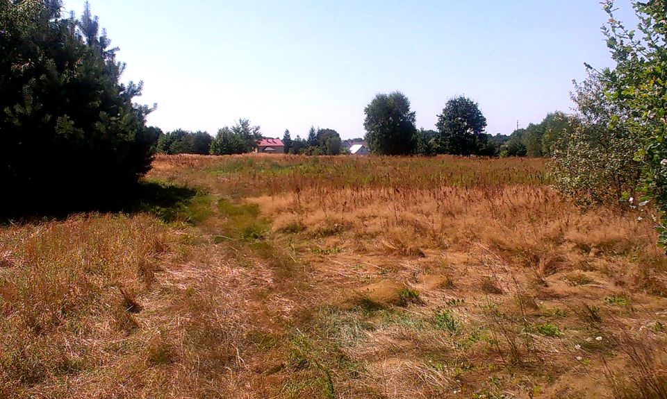 Działka budowlana Bucze