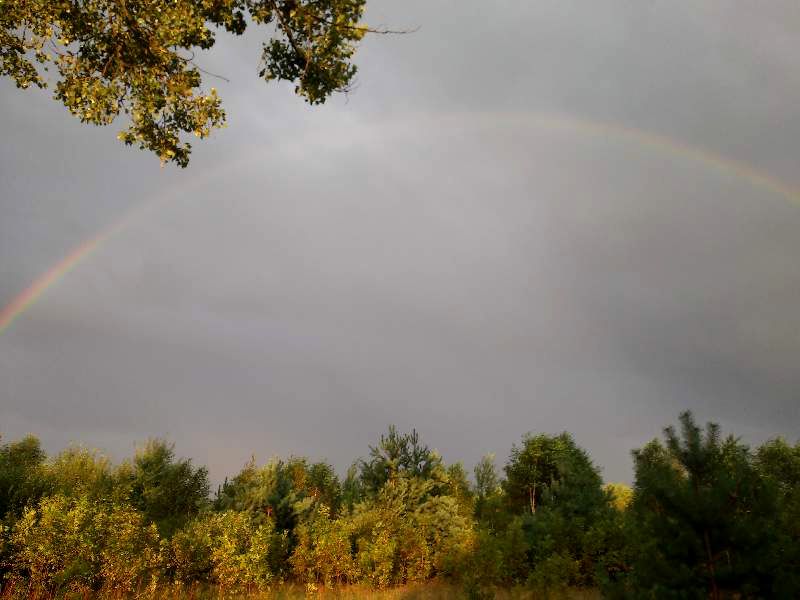 Działka Olsztyn