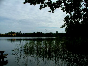 Działka rekreacyjna Gryźliny