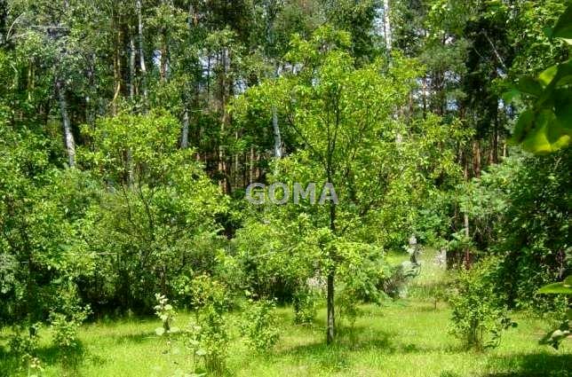 Działka budowlana Warszawa