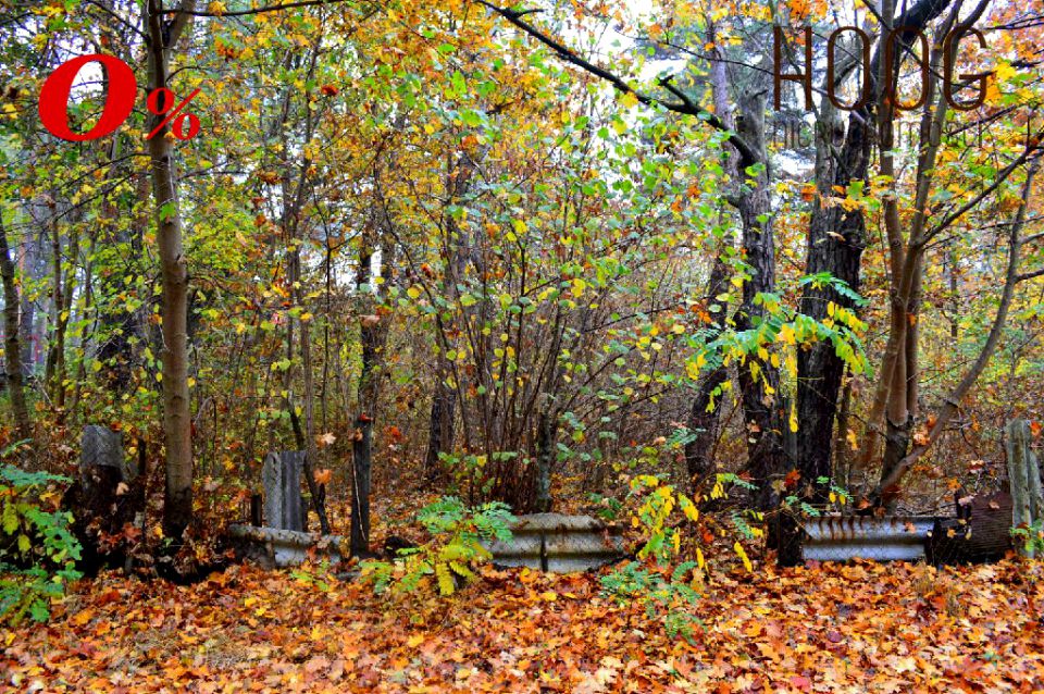 Pusta działka Warszawa