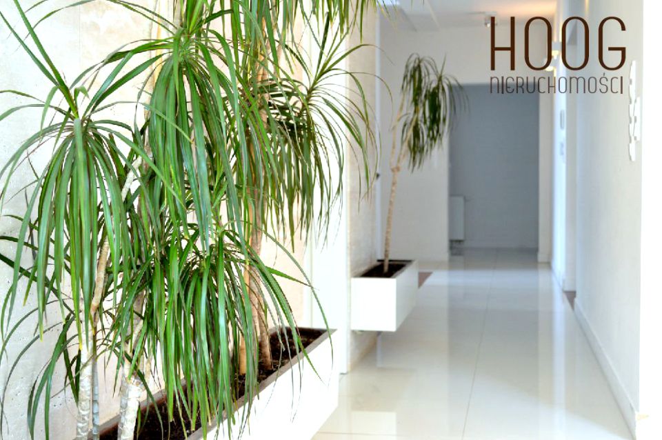 Dom jednorodzinny wynajem