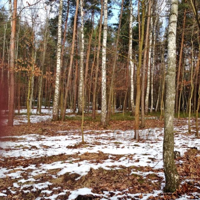 Pusta działka Warszawa