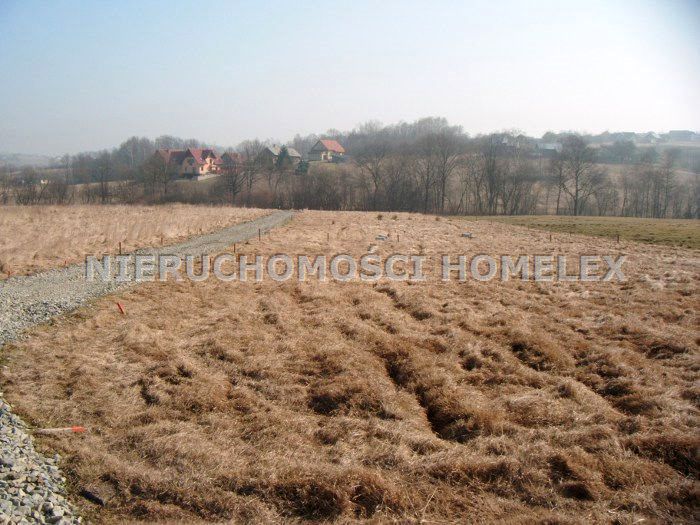 Działka Krzywaczka