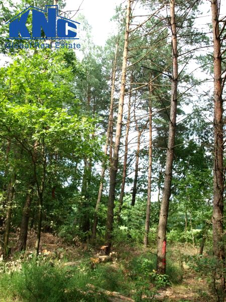 Działka Gorzkowice