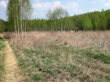 Działka budowlana Strzeniówka