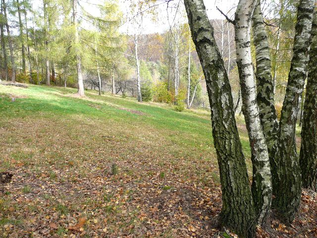 Działka Bielsko-Biała