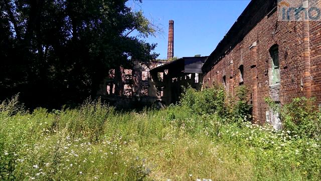 Lokal Kraków