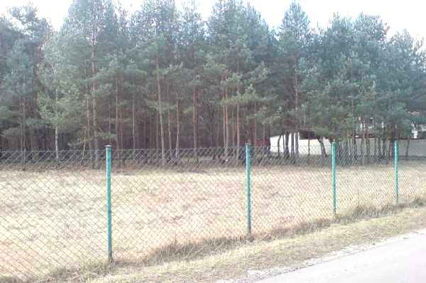 Działka przy lesie