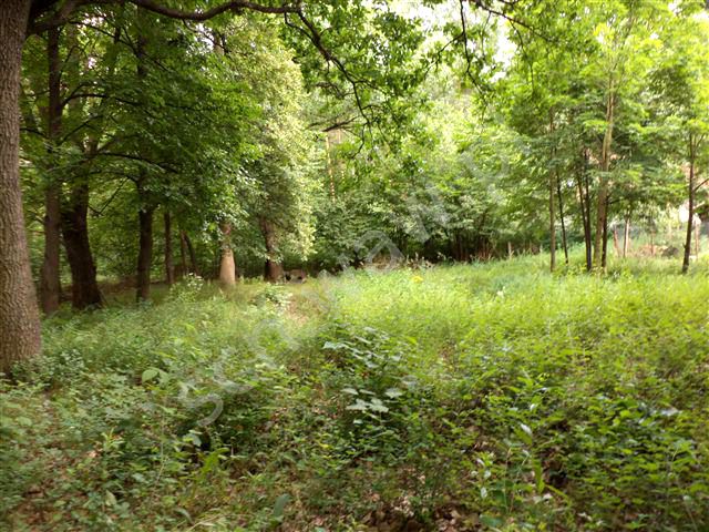 Działka budowlana Warszawa