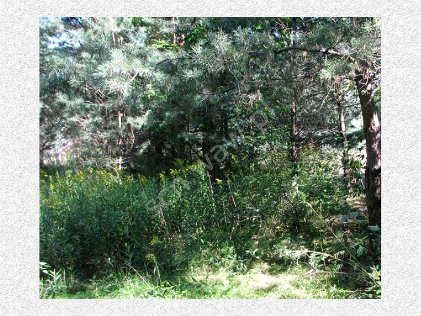 Działka budowlana Warszawa