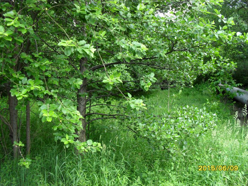 Działka inna Bielsko-Biała