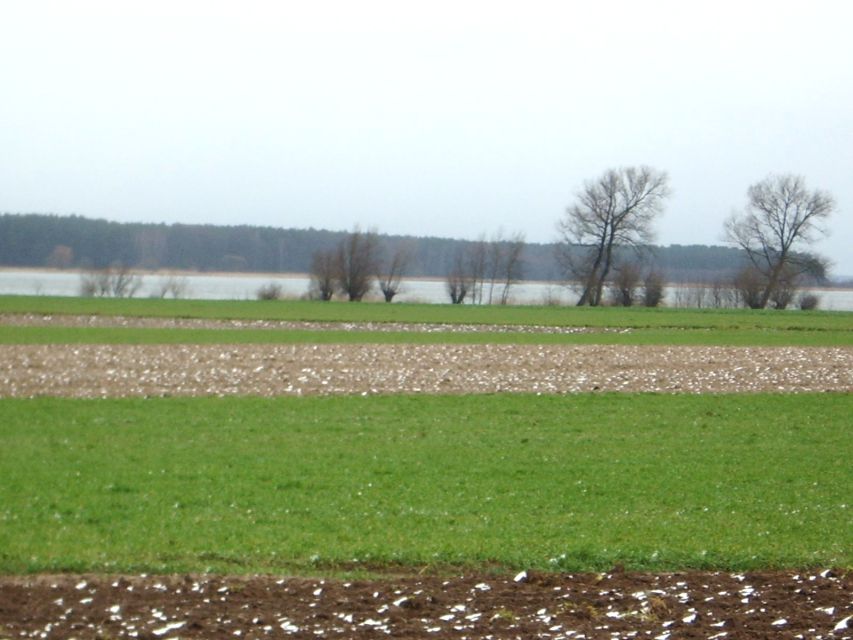 Działka rolna Kukułowo