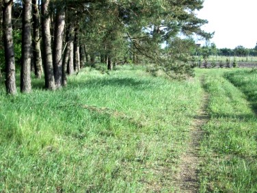 Działka budowlana Jęczydół