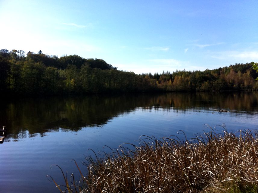 Działka budowlana Wierzbka Dolna