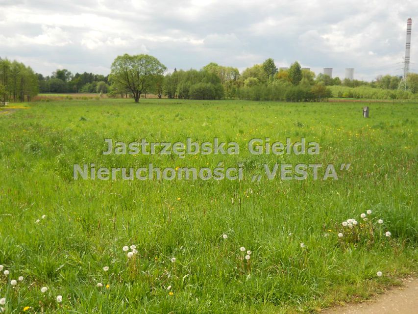 Działka Gołkowice