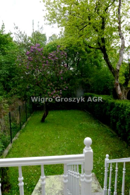 Dom Warszawa wynajem