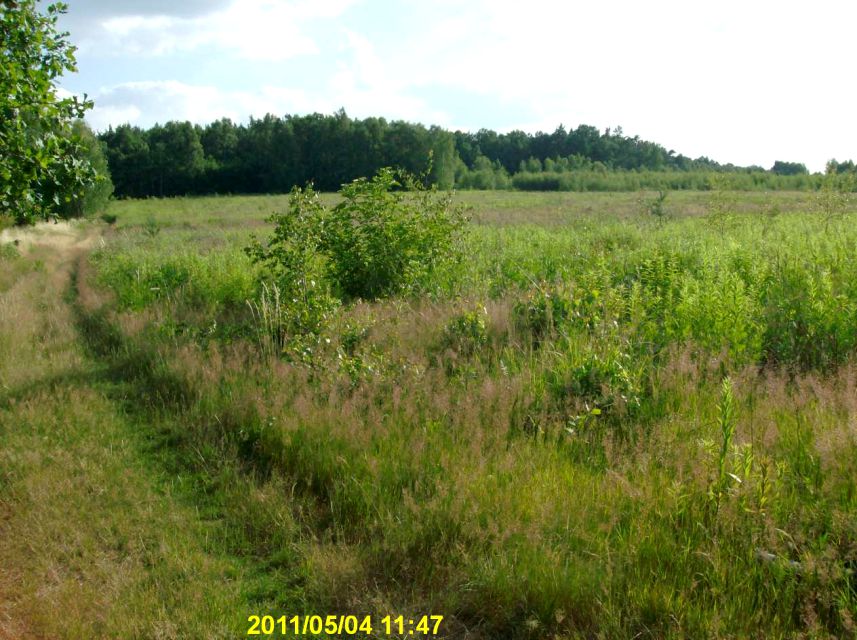 Działka budowlana Wilkszyn