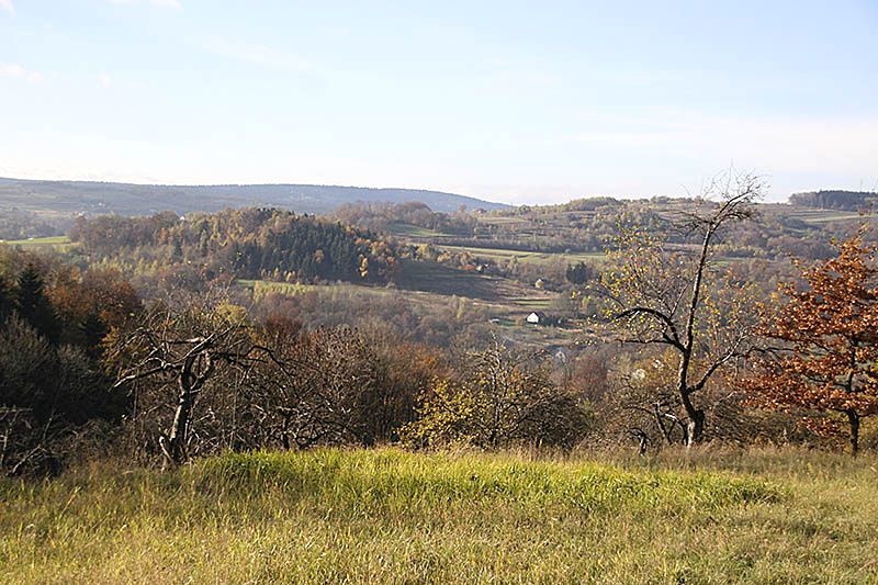 Działka budowlana Brody