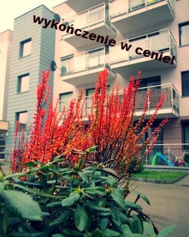 Mieszkanie Bydgoszcz