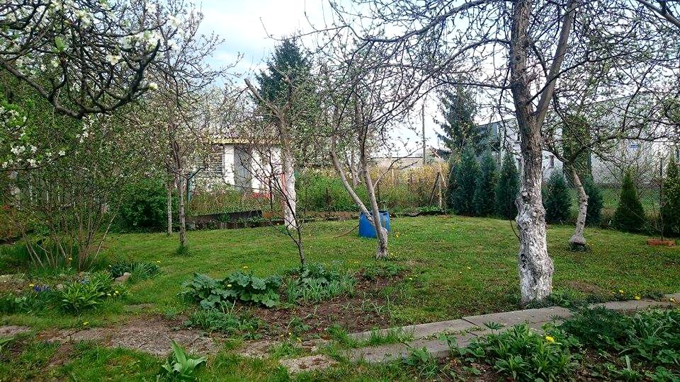 Działka rekreacyjna Toruń