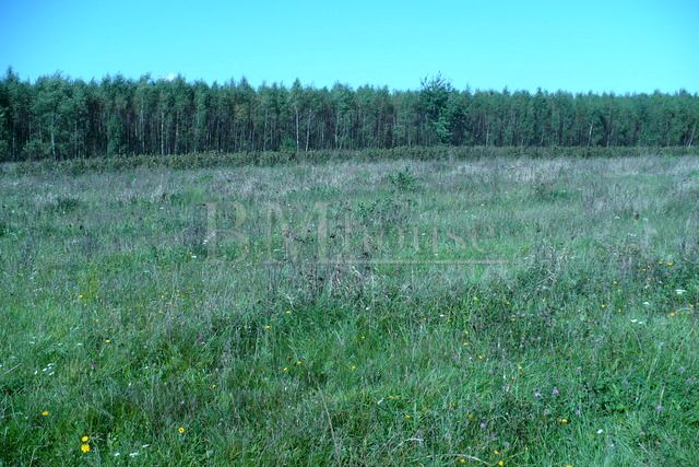 Działka Nasielsk