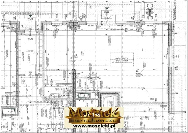 Lokal Warszawa wynajem