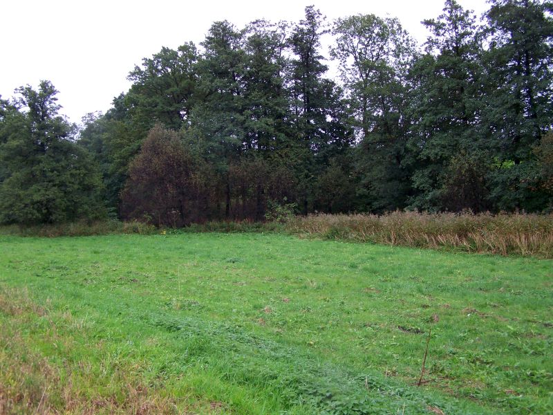 Działka rolna Kisielów
