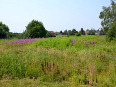 Działka Bieruń