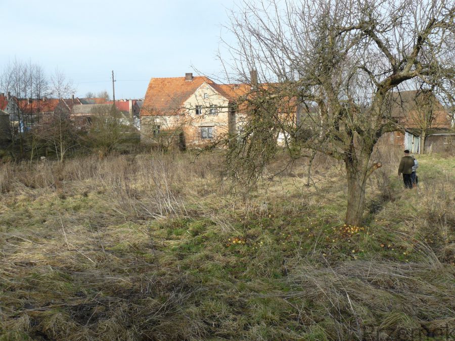 Dom Dalków