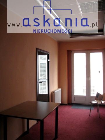 Lokal Opole
