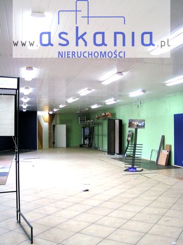 Lokal Opole