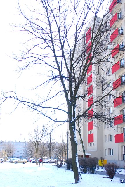 Mieszkanie Kraków