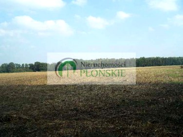 Działka rolna Cieszkowo Nowe