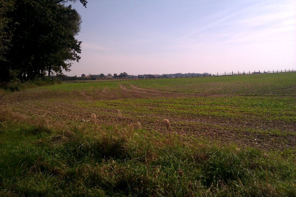 Działka budowlana Okmiany