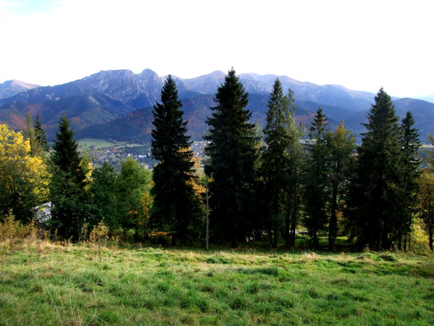 Działka budowlana Zakopane