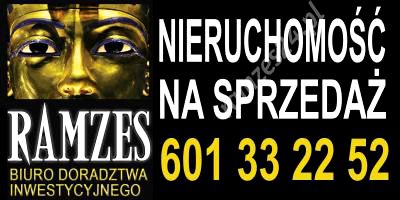 Działka przy lesie