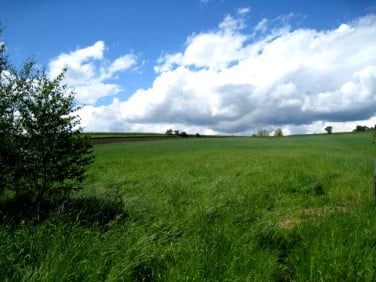 Działka rolna Zastów