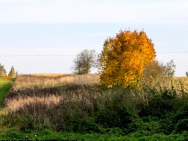 Działka inna kolonia staw noakowski