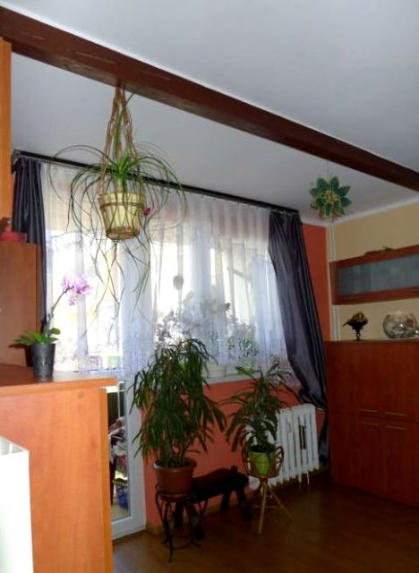 Mieszkanie Rybnik