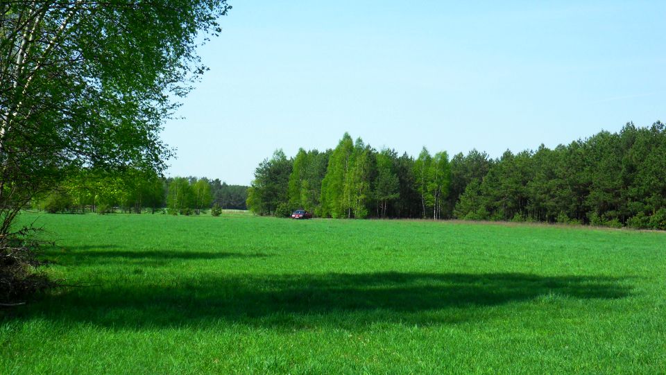 Działka Popiołki