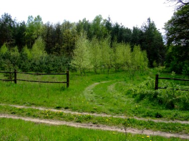 Działka budowlana Baraki Chotumskie