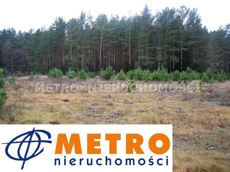 Działka nad jeziorem