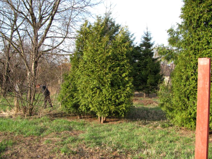 Działka budowlana Warszawa