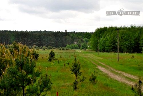 Działka stara jabłonka pąchy
