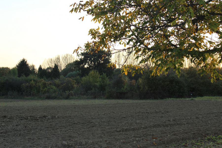 Działka budowlana Warszawa