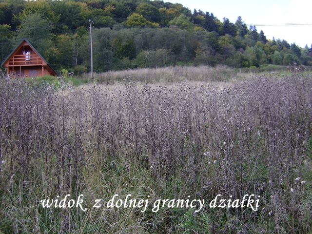 Działka budowlana Wołkowyja