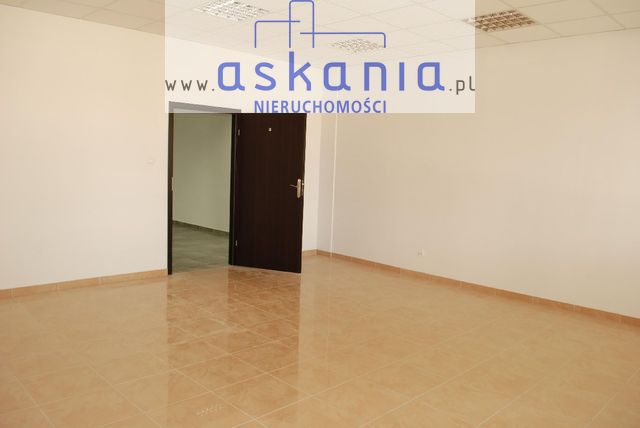 Lokal Opole
