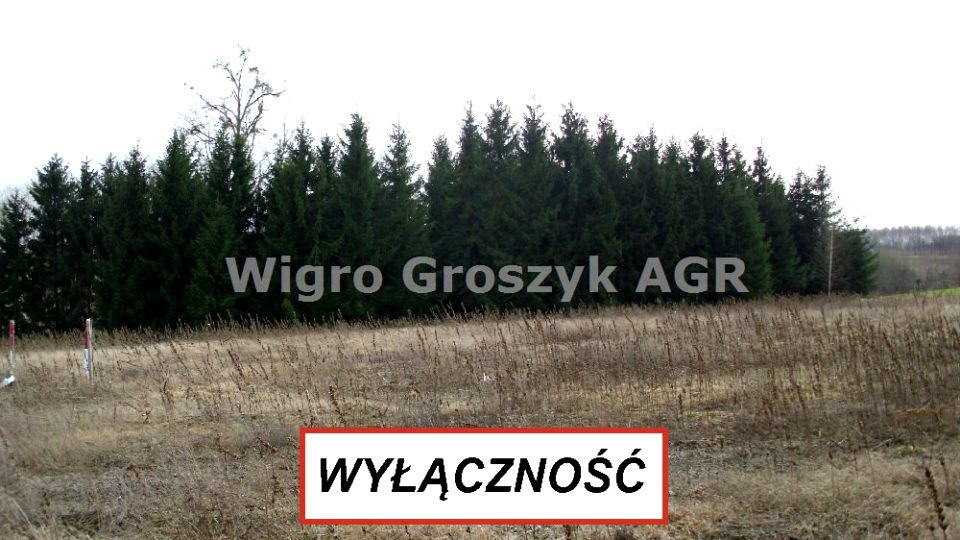 Działka Korfowe