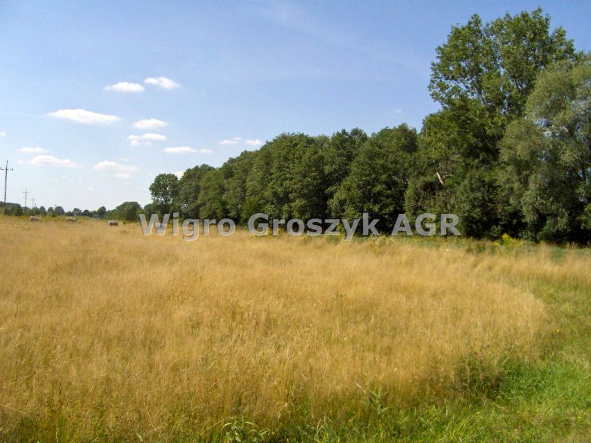 Działka Baranów